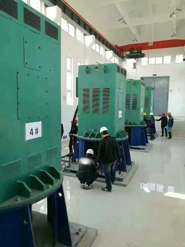 曲麻莱某污水处理厂使用我厂的立式高压电机安装现场安装尺寸