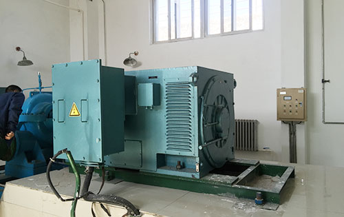 曲麻莱某水电站工程主水泵使用我公司高压电机